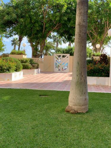 Apartamento Sun&life Montemar Puerto