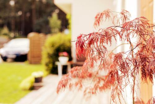 Apartamento Urlop Przy Wydmach