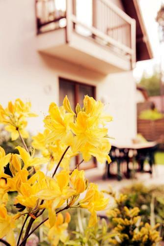 Apartamento Urlop Przy Wydmach