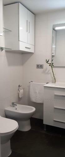Fant�stico Apartamento En La Carihuela