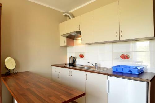 Apartamento Pensjonat ?lepowron
