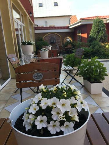 Bed & Breakfast Villa Bartosz