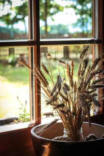 Bed & Breakfast Gajowe Zacisze