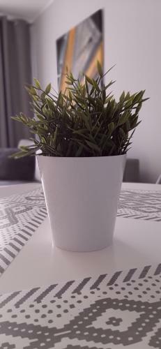 Apartamento Monti