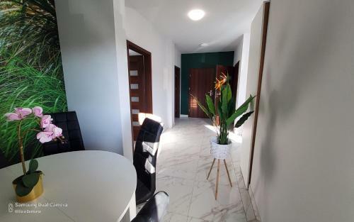 Apartamenty Turkus