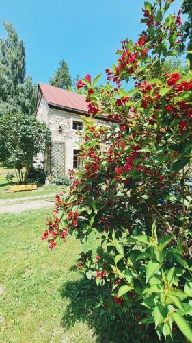 Agroturismo Zabytkowy Dom "czerwony Dworek 8"