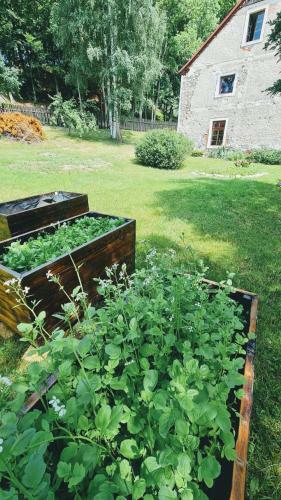 Agroturismo Zabytkowy Dom "czerwony Dworek 8"