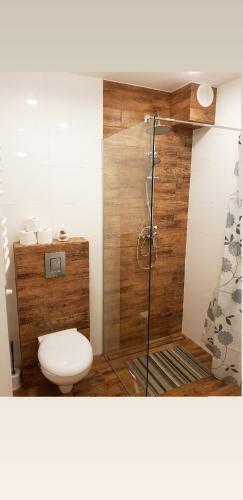 Apartamento Zacisze Pod ?nie?k?