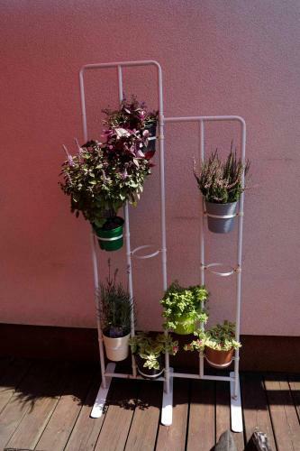 Apartamen Kajki 82 A