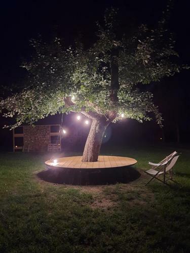 Apartamento Dom Miodu I Wina