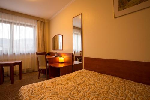 Hotel Muszyna***