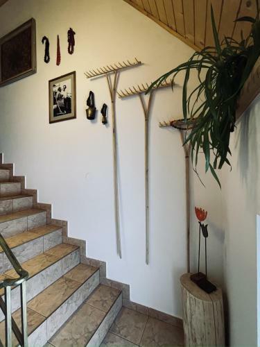 Bed & Breakfast Go?ciniec Odsapka
