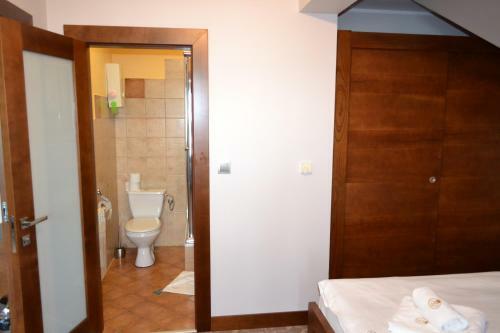 Hotel Lokis