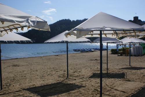 Hotel Lokis