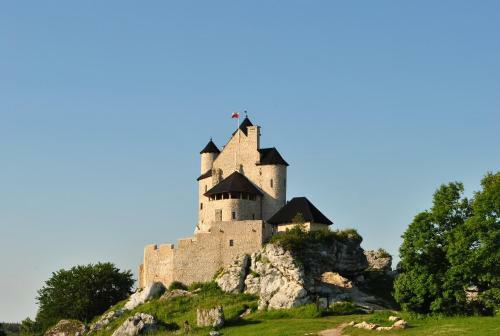 Niezapominajka-jura