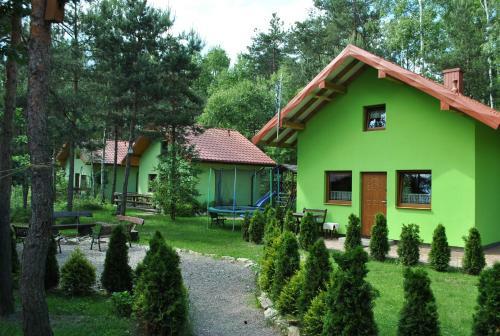 Niezapominajka-jura