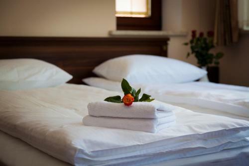 Hostal Pensjonat Czardasz