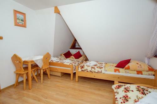 Bed & Breakfast Willa U Tutki
