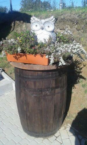 Hostal Sowi Dw�r