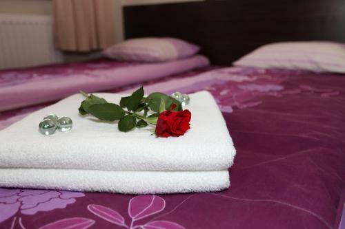 Hostal Willa Czarownica