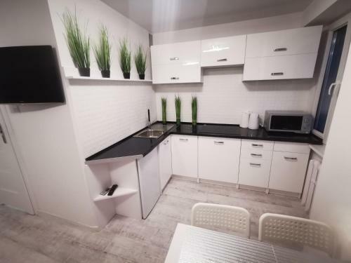 Apartament Green Mr?gowo-mazury,blisko Pla?a, Centrum! Wi-fi!