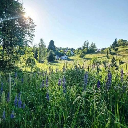 Lodge Siedlisko13