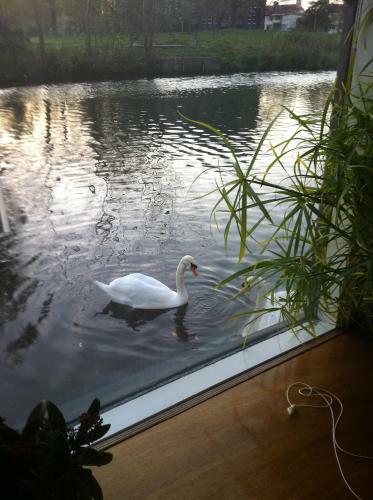 Bed & Breakfast Houseboat Harmony
