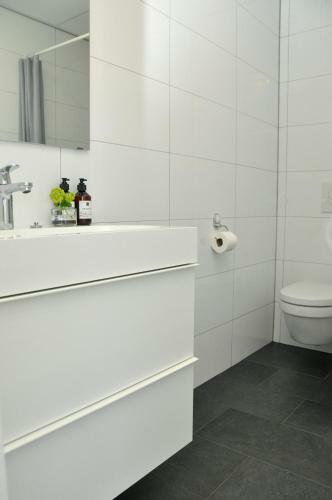 Apartamento Residence Le Mistral