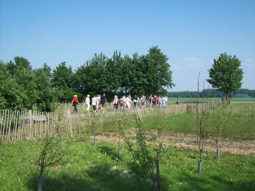 Bed & Breakfast De Sternhof