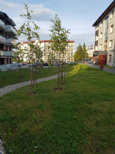 Apartament Mazurska 49