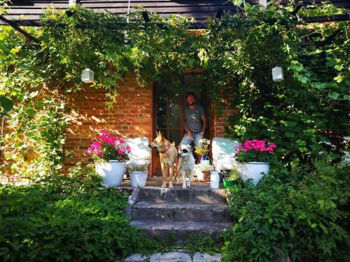 Agroturismo Moni�wka