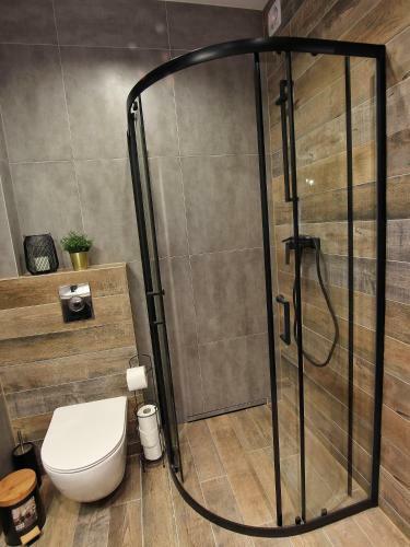 Apartamenty S?odyczki
