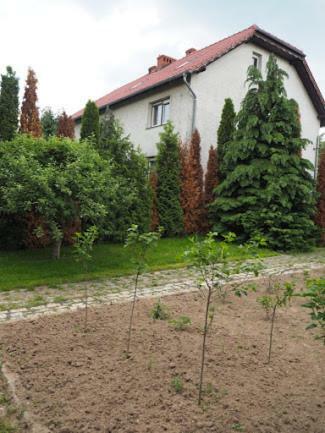 Hostal Noclegi Nowogrodziec