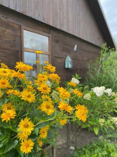 Agroturismo Siedlisko Odpoczynkowo