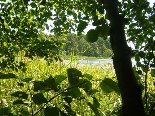 Agroturismo Bednarz�wka