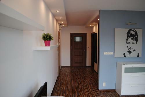Mt Apartments