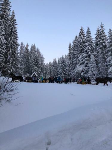 Lodge Domek Na Cepcowym