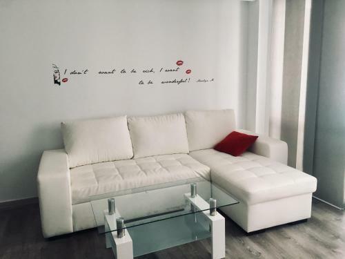Apartment In Torrevieja Centre