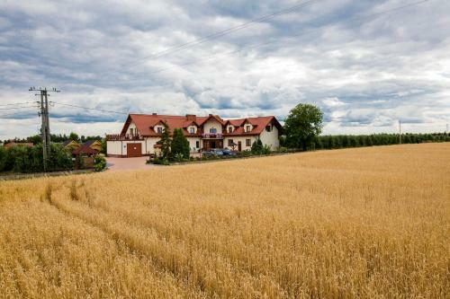 Bed & Breakfast Willa Wojtas�wka