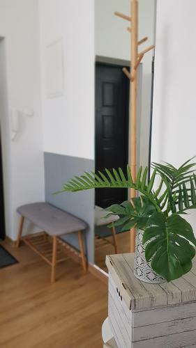 Apartament Szwedzki