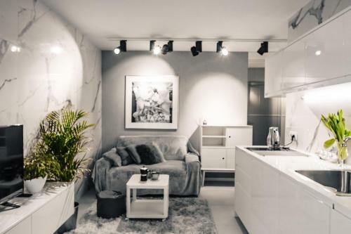 Apartament Gray
