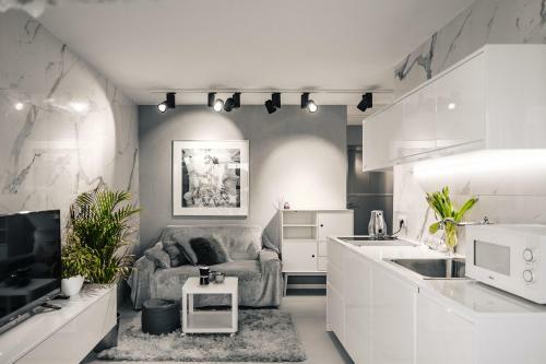 Apartament Gray