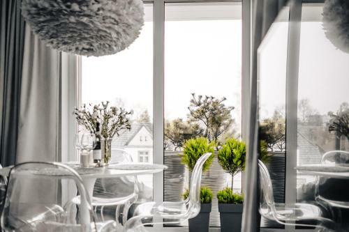 Apartament Gray