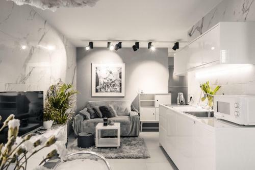 Apartament Gray