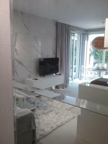 Apartament Gray