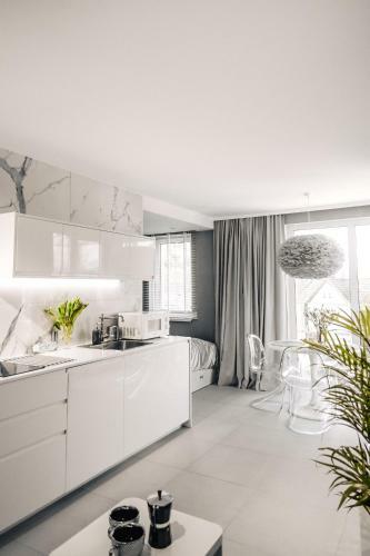 Apartament Gray