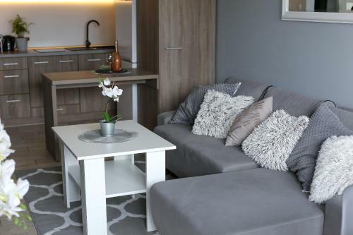 Grey Apartment