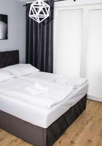 Apartament Diva