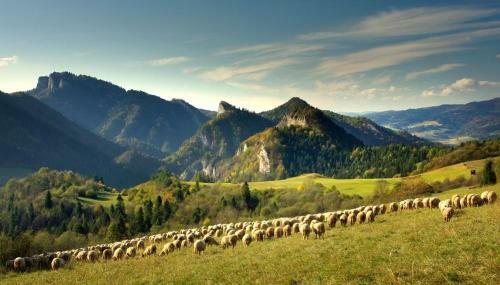 No 7 Apartament Spa Z Sauna I Jacuzzi