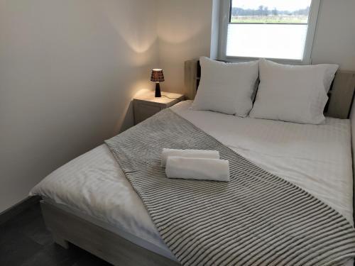 Apartament 36